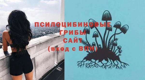 хмурый Алексеевка