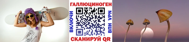 как найти наркотики  Кола  Псилоцибиновые грибы ЛСД 